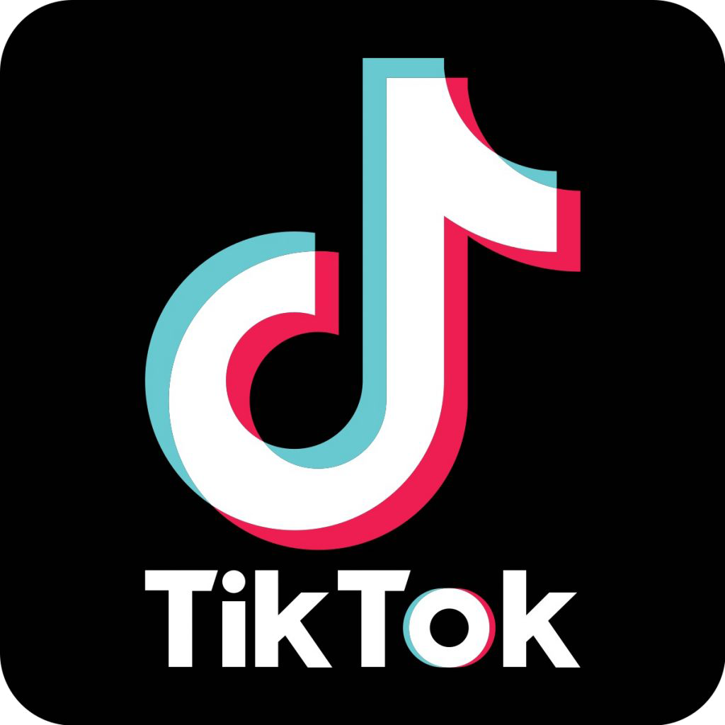 TikTok Booster Logo