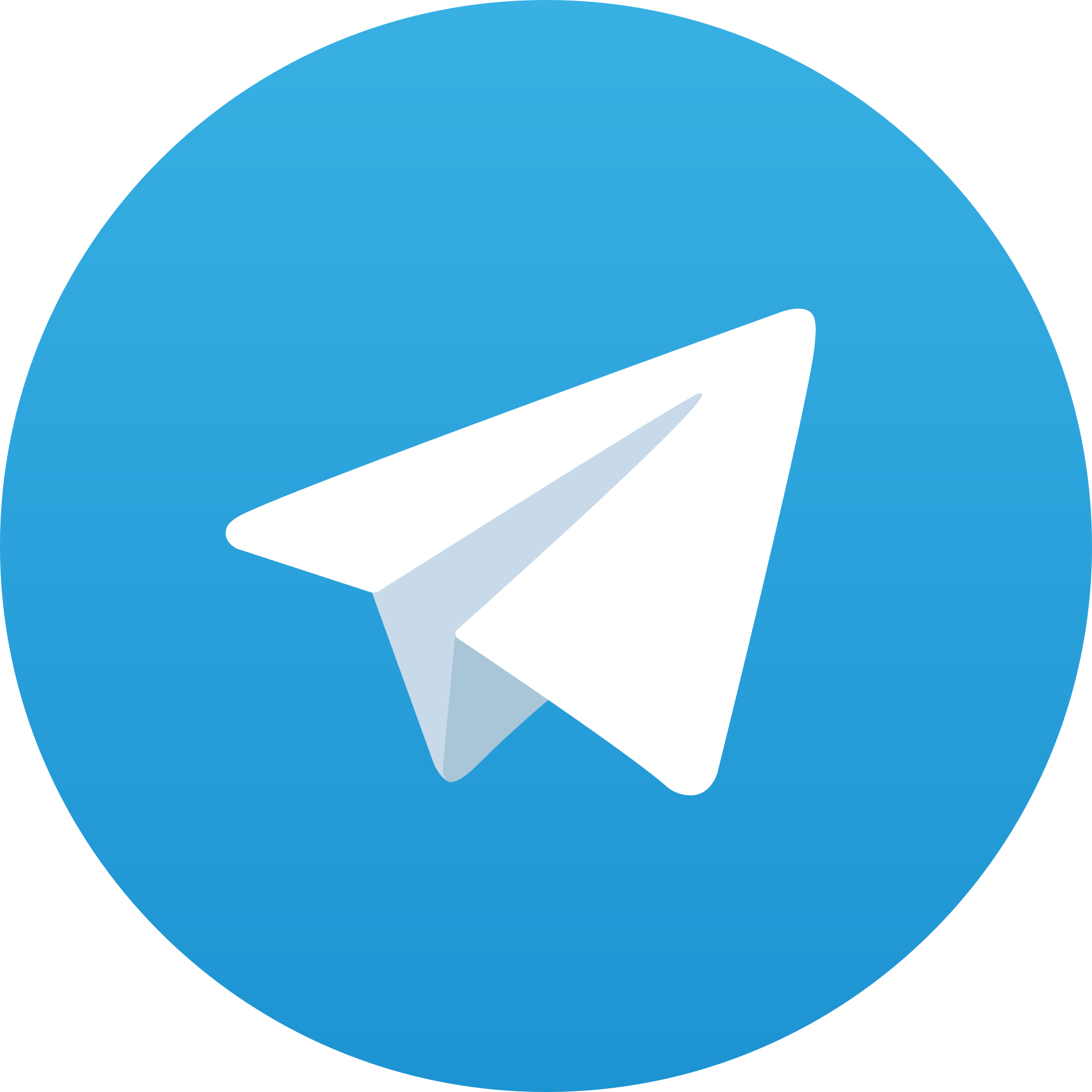 Telegram++ Logo